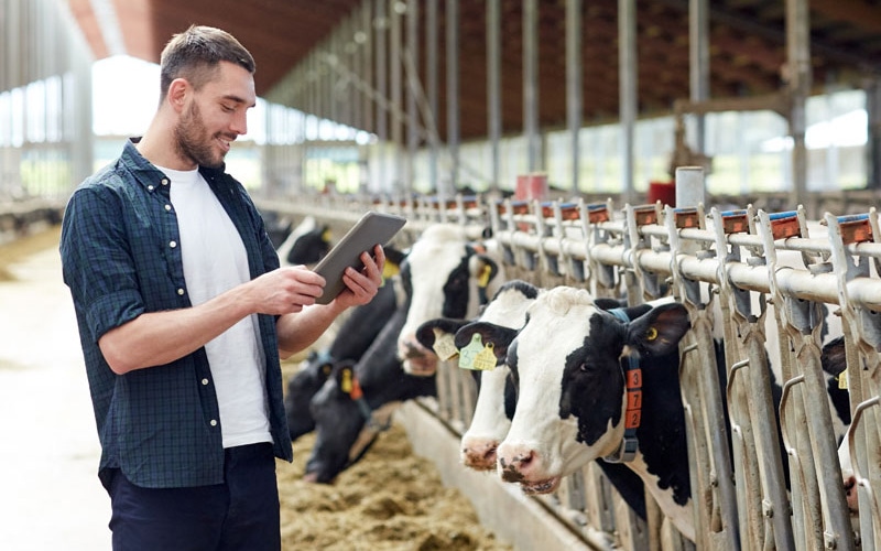Why 'smart' farming is taking off