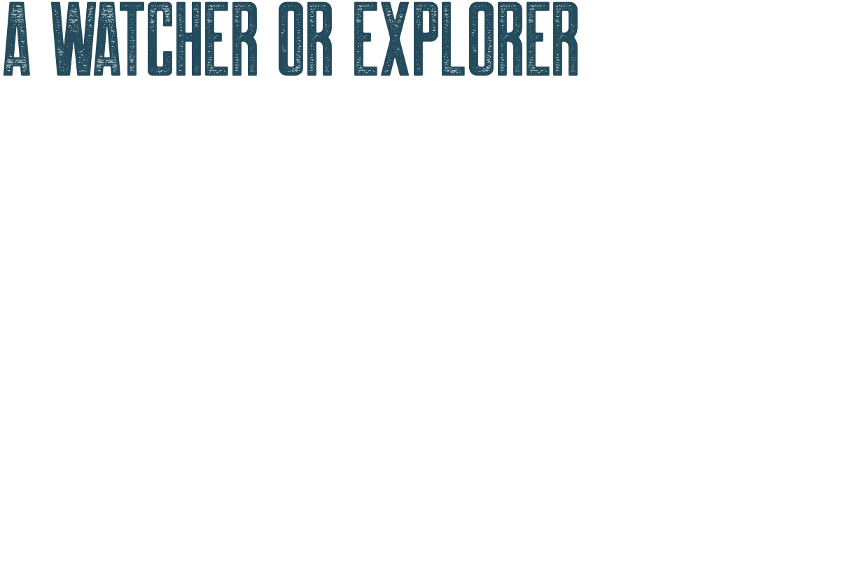 a watcher or visionary can be explorer too