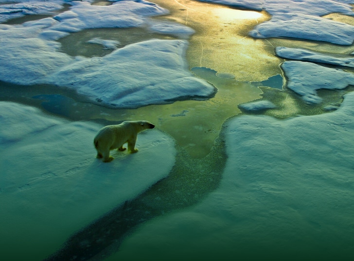 climate-positive