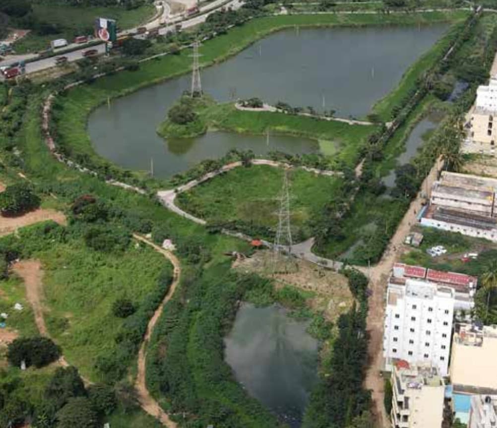 Lake restoration video