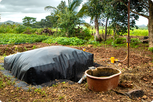 Our carbon offset program surpassed 10 years of continuous operation