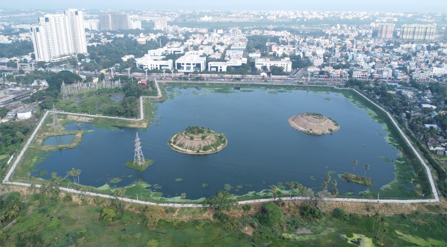 Aerial view of lush green forest