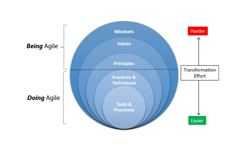 The Agile Onion agile managed service