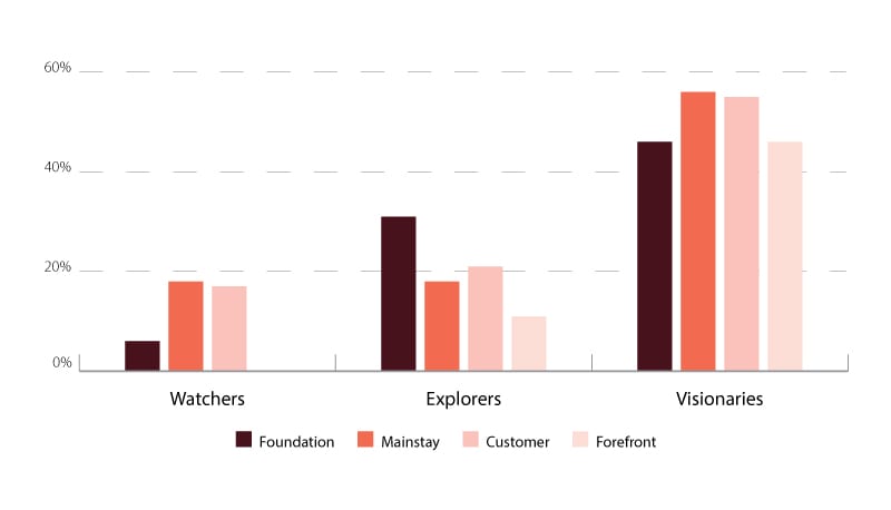 Visionaries have many more initiatives operating at scale