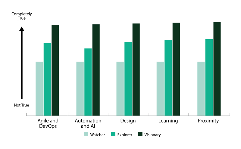 Visionary companies have superior accelerator capabilities