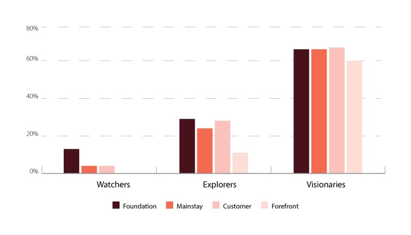 Visionaries have many more initiatives operating at scale