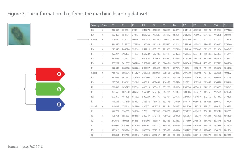 The information that feeds the machine learning dataset
