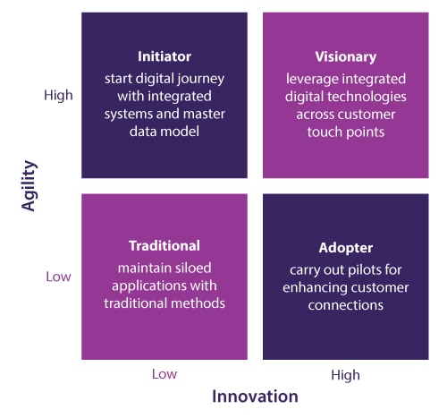 Maturity model categories