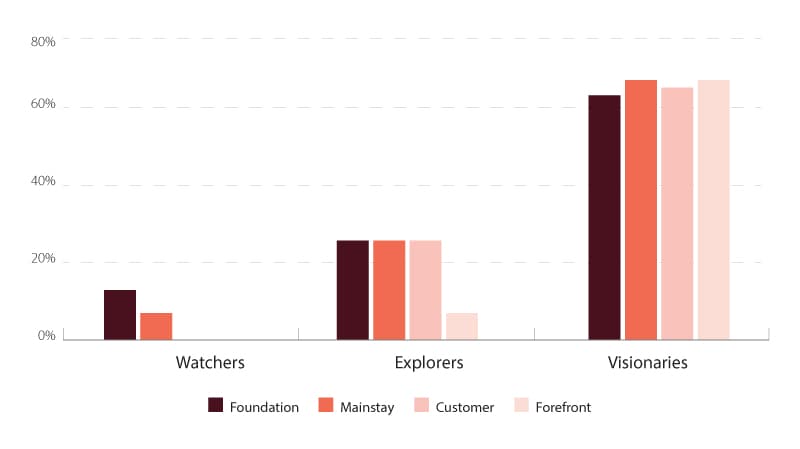 Visionaries have many more initiatives operating at scale