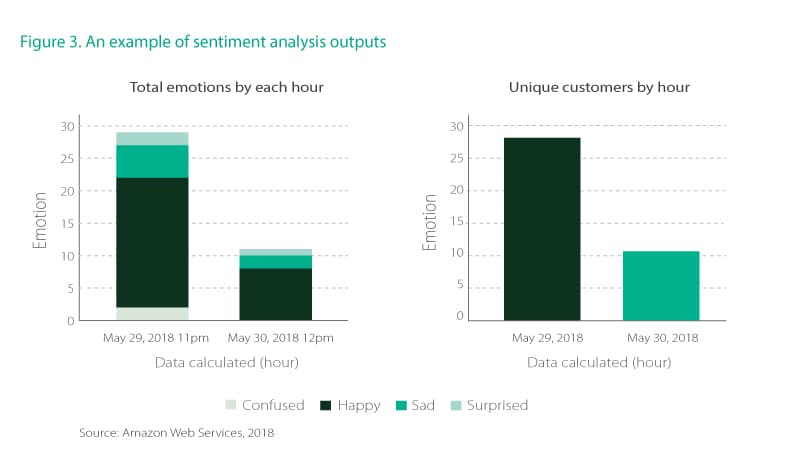 An example of sentiment analysis outputs