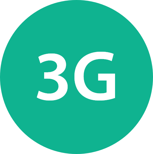 3G