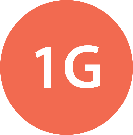 1G