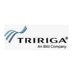 Tririga