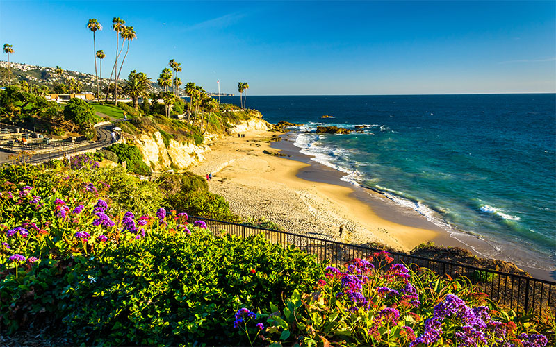 Laguna Beach Trolley Tour