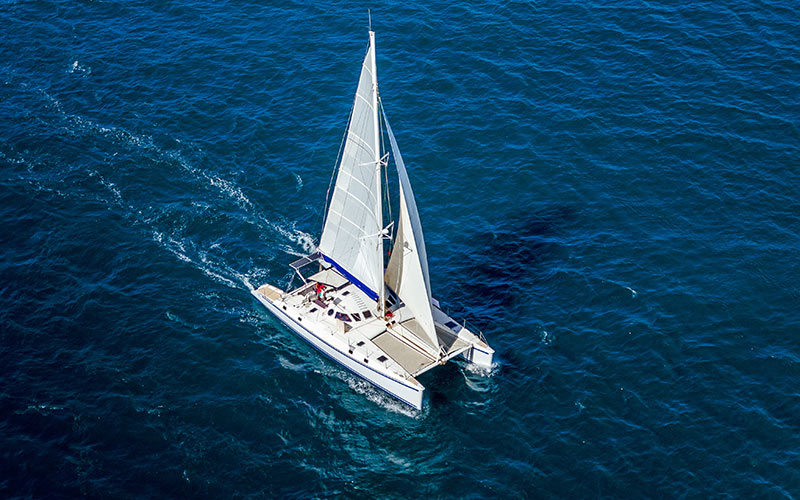Catamaran Cruise 