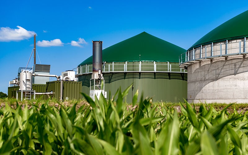 Designing biogas plants to treat food waste at source