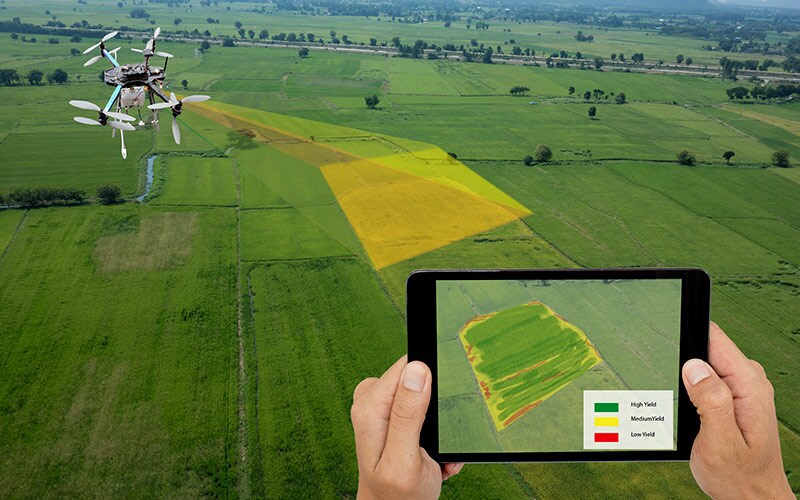 Syngenta: Feeding the world by AI, machine learning, and the cloud