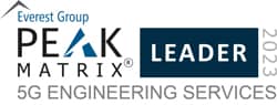 Everest Group’s PEAK Matrix®