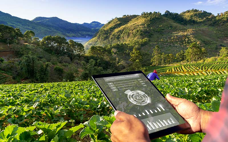 Feeding the world by AI, machine learning and the cloud 