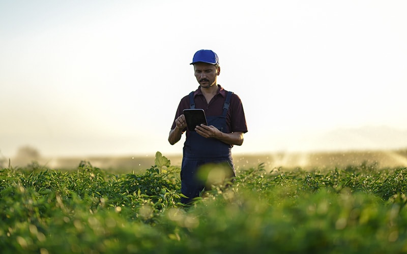 Infosys helped Syngenta become truly agile in SAP