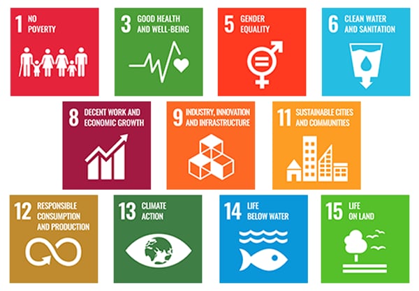 The Power of Youth to Create the Next Great Sustainable Business