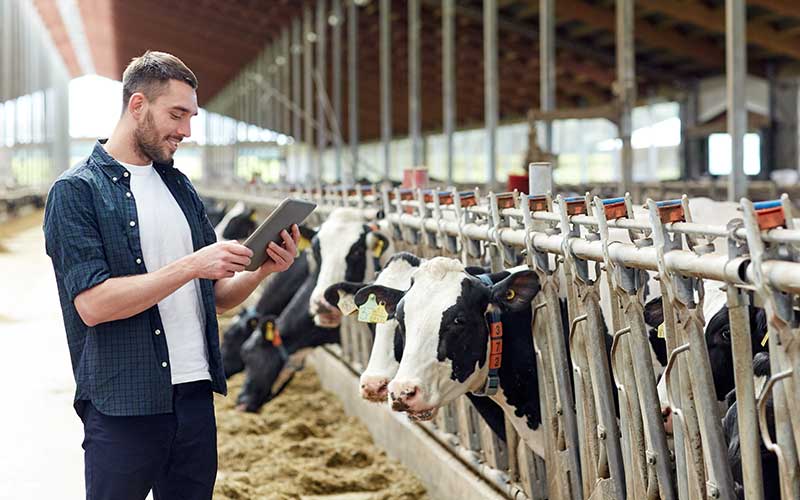 Why 'smart' farming is taking off
