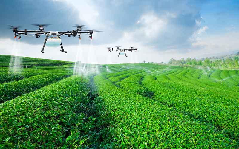 Smart technology for sustainable food practices