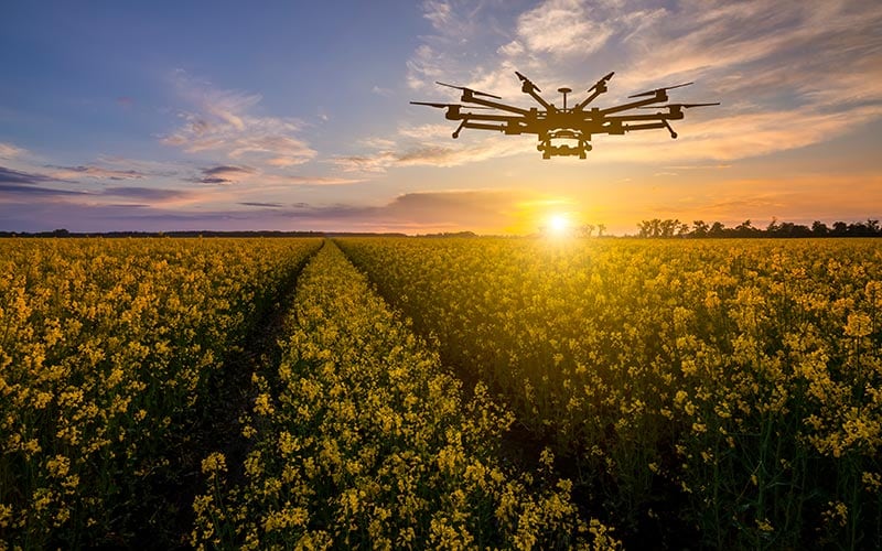Infosys Drone Vision Vegetation Management Solution