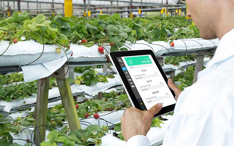 Vertical Farming Using Information and Communication Technologies