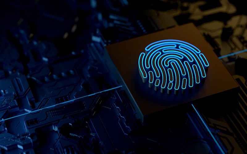 Smart Data Fingerprinting