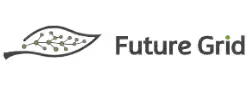 Future Grid
