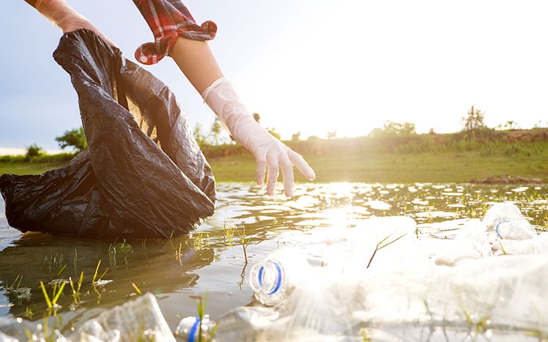 Infosys Foundation Drives Major Ecological Renewal at Doddathoguru Lake in Bengaluru