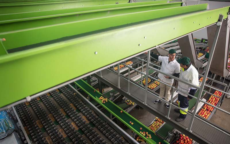 METRO AG looks forward to take AI to the next level
