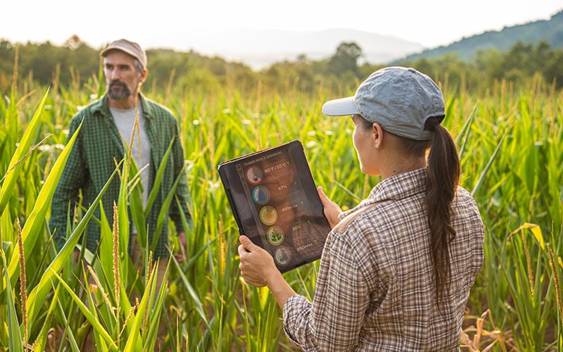 Multiple transformation projects for a global agribusiness