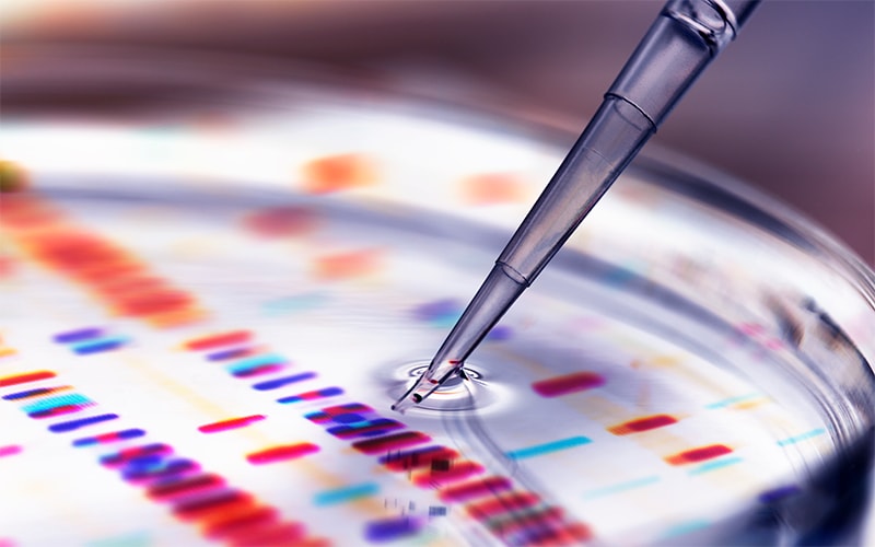 RIMS implementation for a global leader in pharmaceutical and biosimilars 