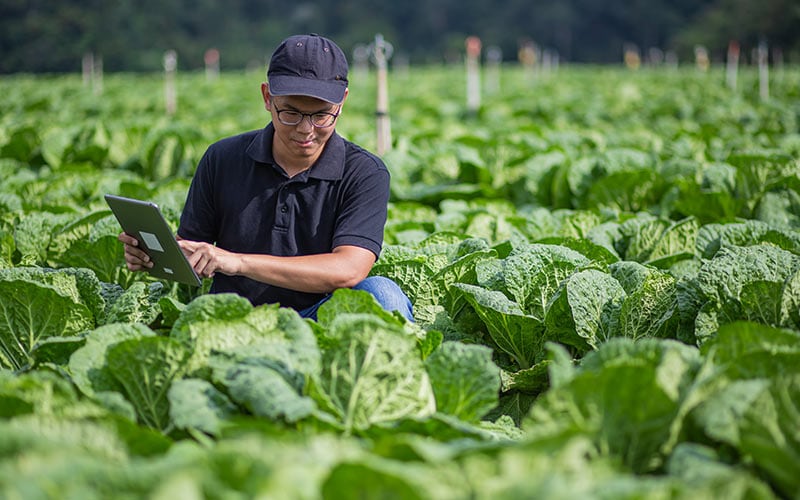 Trade-to-cash coverage on CTRM solution for global agribusiness