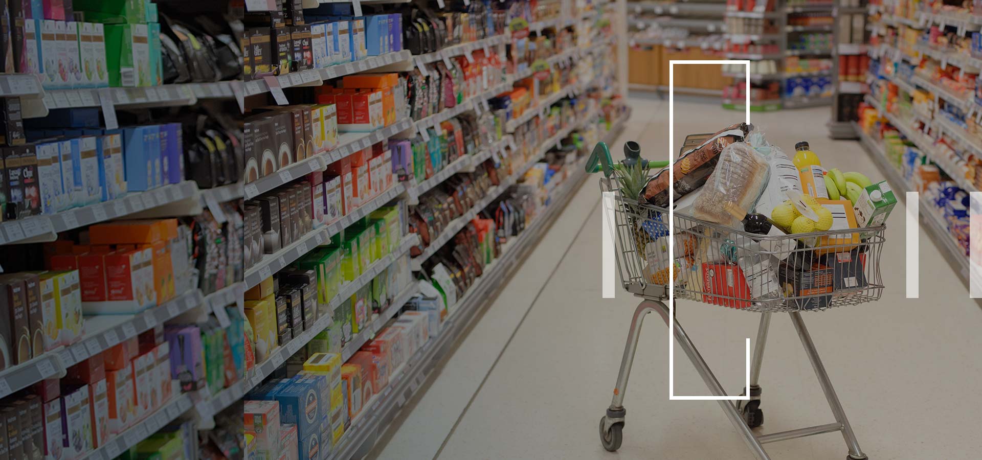 SAP Direct Store Delivery implementation for a leading CPG company