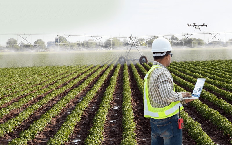 Smart Farming solution for Crop management