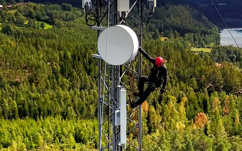 Infosys Digital Radar: Accelerators in the Telecommunications Industry