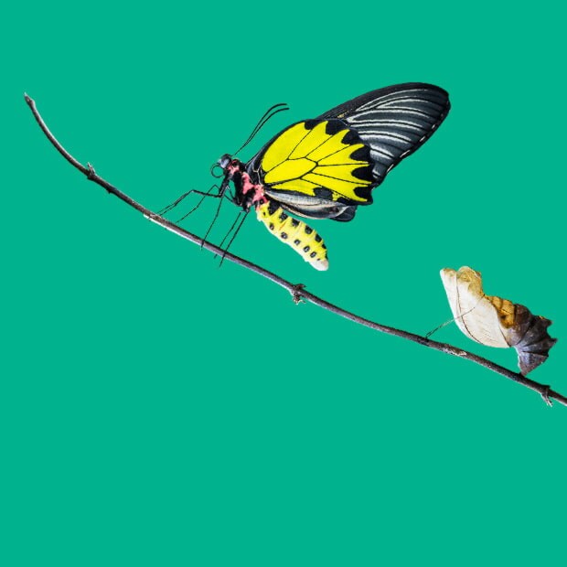 Infosys Digital Radar