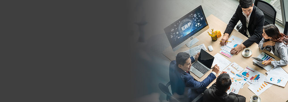 From ERP capability to business execution