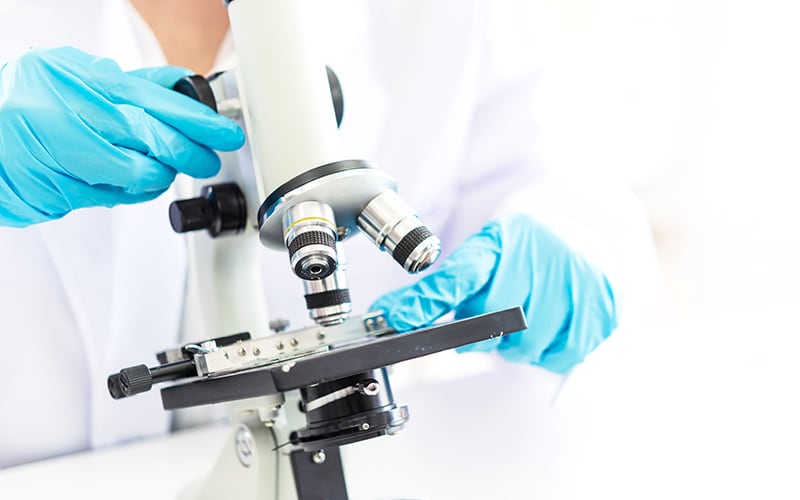 Life Sciences Journal 2.0: Driving Breakthroughs with AI