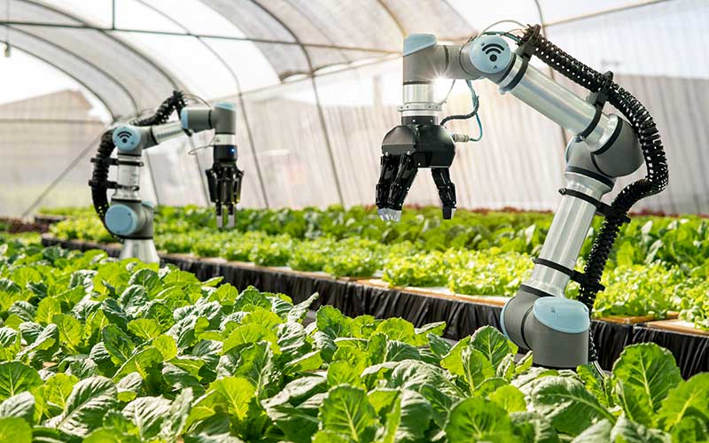 How Agriculture is Navigating Change with Emerging Technology