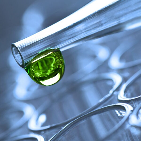 Life Sciences and its growing trust in Blockchain