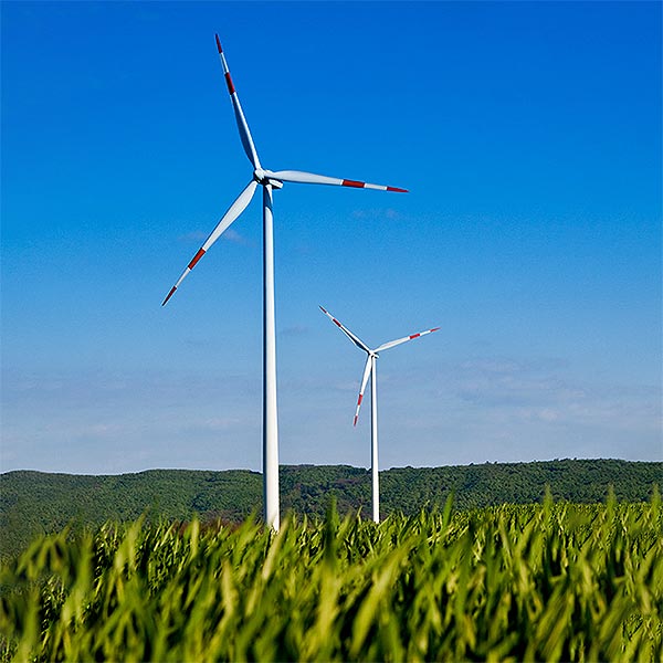 Making Change for Climate: Becoming Carbon Neutral