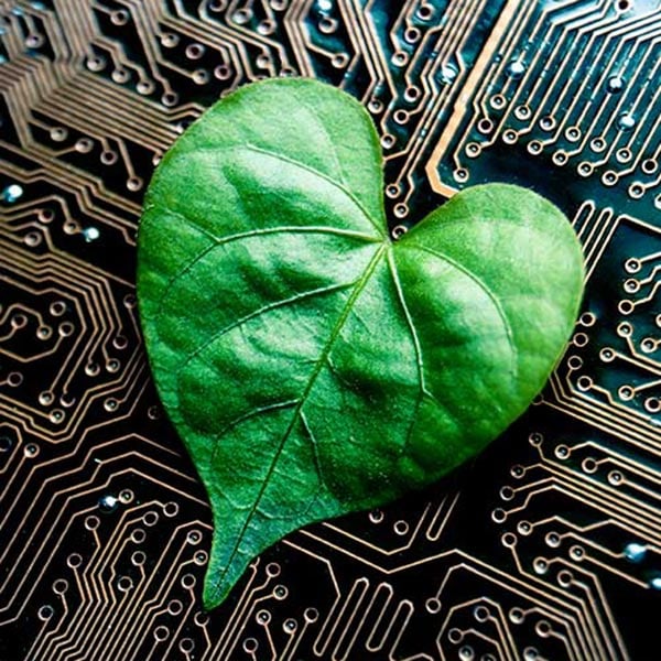 The experts speak: How industry drives conservation