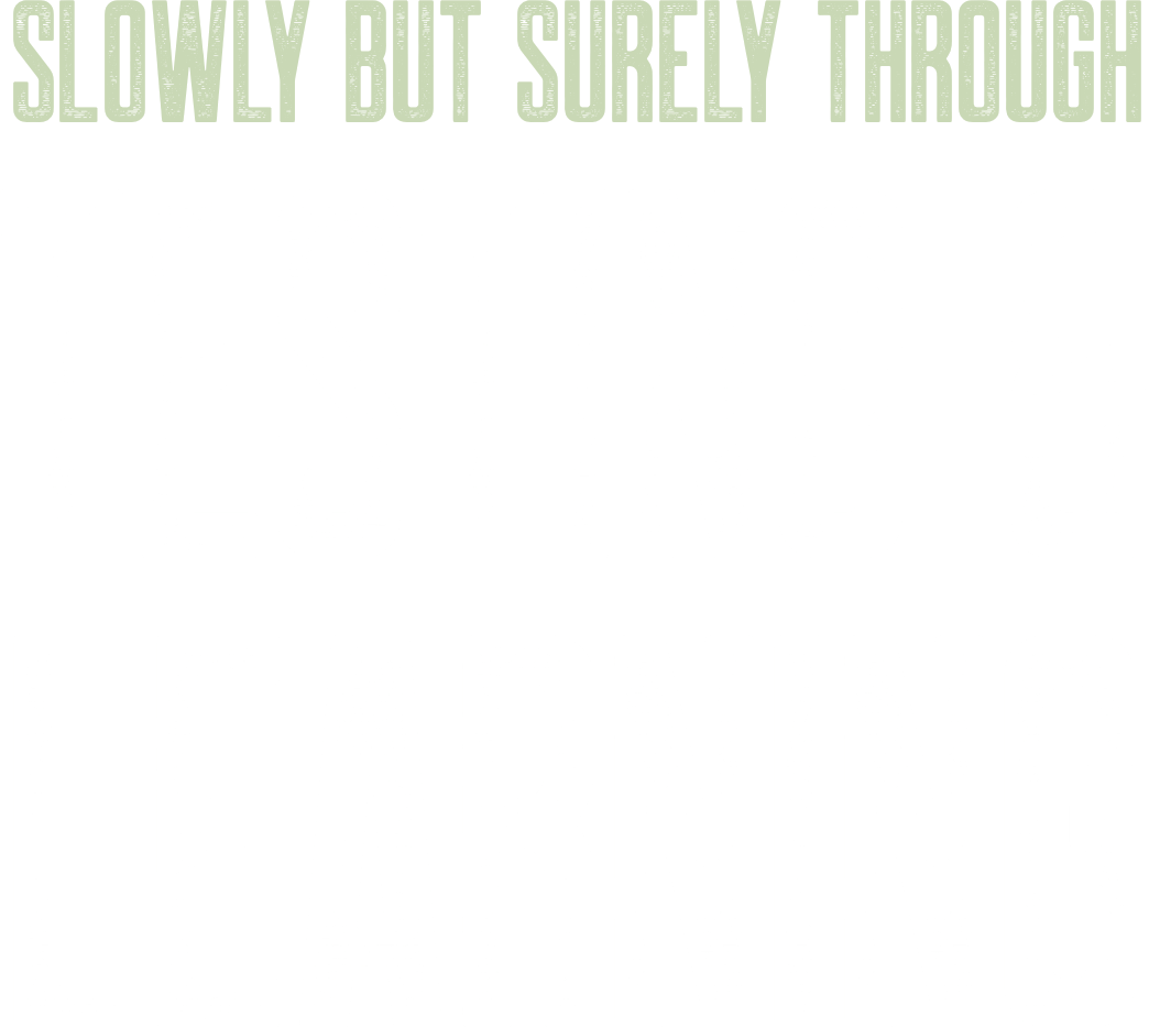 slowly but surely through testing and learning