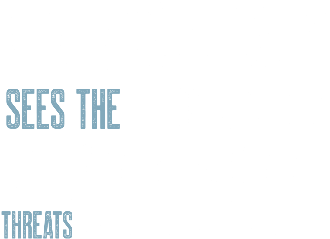 but the visionary sees the opportunity and threats clearly