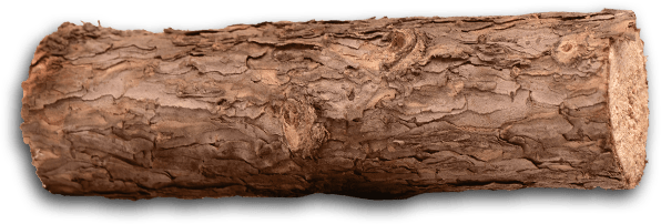 Empty log