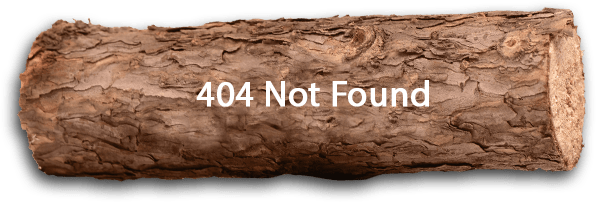 404 Not Found